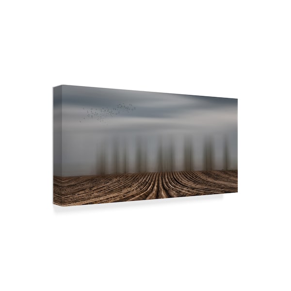 Yvette Depaepe 'Time To Seed' Canvas Art,12x24